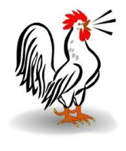 Rooster